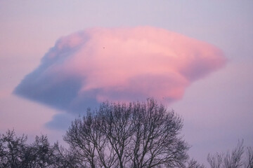 Arbol y nube