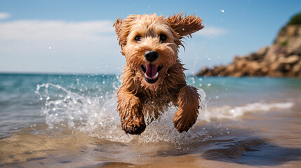Joyful Dog Frolicking on the Beach at Sunset created with Generative AI technology
