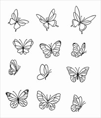 Butterfly outlines vector black and white drawing scribble SVG - obrazy, fototapety, plakaty