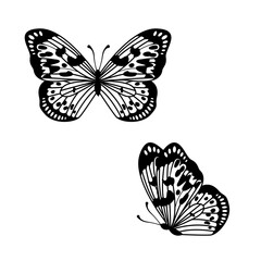 Monarch Butterfly Vector, Silhouette decorative outline Ornament Butterfly element Design isolated on white