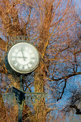 A village clockface is frozen in the winter frost, surrounded by bare trees and branches that are...