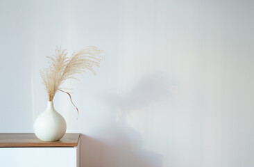 dry cereal ornamental plants in vase on background white wall