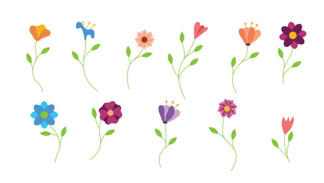 Flat Style Colorful Flowers Set. Nature plants and meadows concept vector
