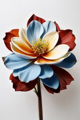 One blue brown exotic flower on white background. Botanical poster, floral card. Minimalism