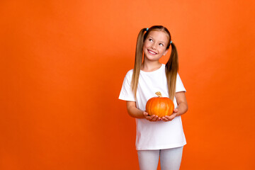 Photo of cheerful creative schoolkid hold pumpkin look empty space fantasize isolated on orange color background