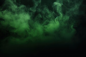 Obraz na płótnie Canvas Empty dark background with forest green smoke