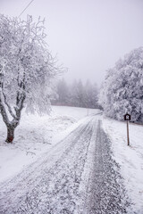 Fototapeta premium Kleine Winterwanderung im verschneiten Thüringer Wald bei Floh-Seligenthal - Thüringen - Deutschland