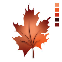 illustration of a red autumn leaves
