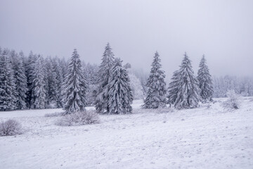 Kleine Winterwanderung im verschneiten Thüringer Wald bei Floh-Seligenthal - Thüringen - Deutschland