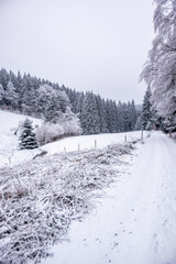 Kleine Winterwanderung im verschneiten Thüringer Wald bei Floh-Seligenthal - Thüringen - Deutschland