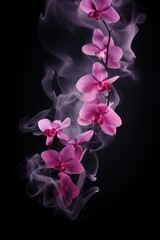 Fototapeta na wymiar Empty dark background with orchid smoke