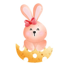 Rabbit in yellow egg
