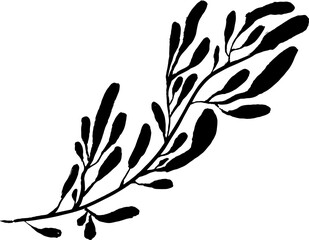 Leaf Grunge Artwork Brush Silhouette Element © Anna Babii