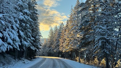 winter road in the evening