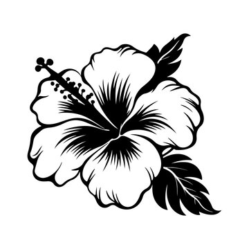 recommend clip art: hibiscus icon illustration, hibiscus black silhouette logo svg vector