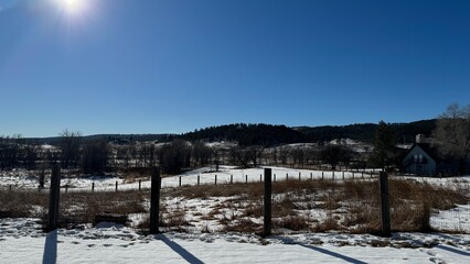 winter landscape with snow