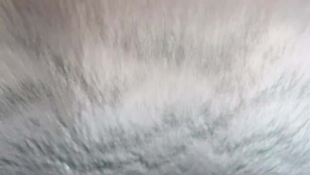 Soap bubbles on a car window, macro photography. White soap foam moves on car glass, texture background.