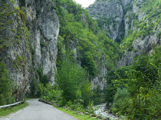 An asphalt road winding in a narrow canyon sided by vertical, abrupt, steep cliffs. The gorges are located in Carpathia, Romania. Spring season, green blooming trees are growing on sharp cliffs.