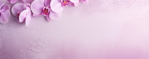 Orchid flat clear gradient background with grainy rough matte noise plaster texture
