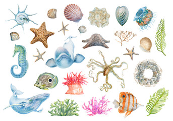 Set of underwater marine animals octopuses, seahorses, starfish, jellyfish, seashell. Marine inhabitants of the underwater world. animal elements isolated on white background
