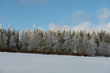 Winterlandschaft mit Bäumen wie aus Kristall