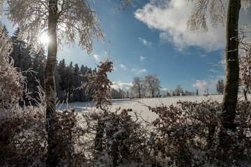 Winterlandschaft mit Bäumen wie aus Kristall