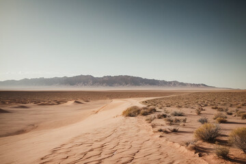 sand dunes in the desert