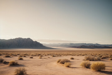 sand dunes in the desert