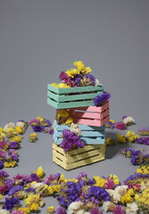 flowers of different colors lie in wooden colored boxes on a gray background