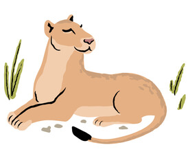 Vector illustration of a lioness lying, resting in the grass