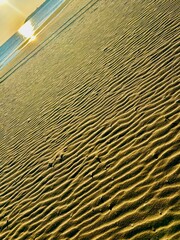 sand dunes on the beach