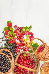 Baskets with fresh organic raspberries, strawberries; blackcurants gooseberries on a white wooden background; copy space