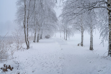 Obraz premium Winterlandschaft 