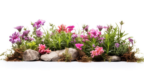 vibrant spring flowers in shades of pink, purple, and magenta, showcasing the blooming beauty of nature.