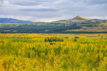 Yukon mountains autumn