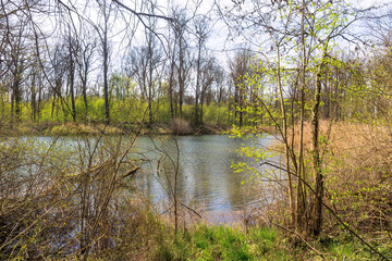 Confluence of the Lech into the Danube near Marxheim in Bavaria on a sunny spring day