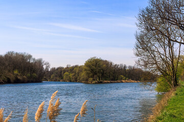 Confluence of the Lech into the Danube near Marxheim in Bavaria on a sunny spring day