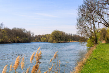 Confluence of the Lech into the Danube near Marxheim in Bavaria on a sunny spring day