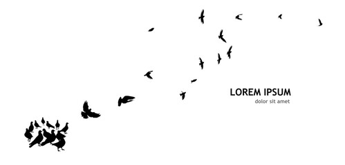 Flocks of flying pigeons isolated on white background. Pigeons are standing on the ground. hand drawing. Not AI, Vector illustration - obrazy, fototapety, plakaty
