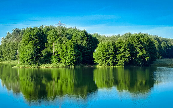 Coast of a Wdzydze Lake. Pure nature.
