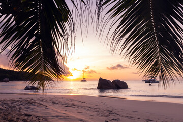 Coastal landscape of Anse Lazio beach with silhouettes of palm tree branches on a sunset