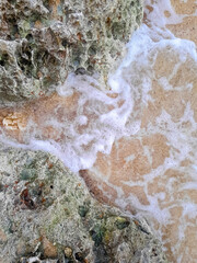 Coastal rocks and sea water as a natural background.