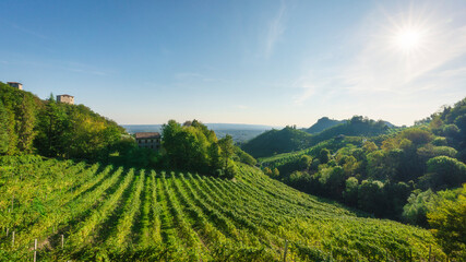 Prosecco Hills, vineyards landscape and Credazzo Towers. Unesco Site. Veneto, Italy