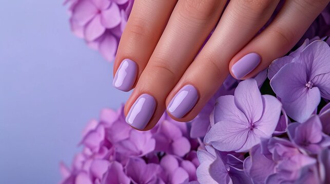Glamour woman hand with trendy lilac color nail polish manicure on fingers, touching light purple spring flower petals, close up for cosmetic advertising, feminine product, romantic atmosphere use.