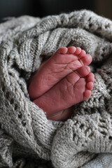 Newborn Feet
feet 
toes
