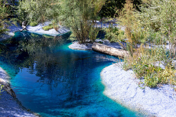 Obraz premium Zone humide - Mare aux eaux turquoise entourée de gravier blanc et de plantes et troncs d'arbre