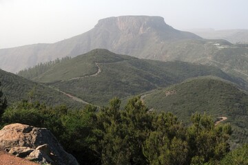 Fototapeta na wymiar View around Alto De Garajonay highest point on island ), La Gomera Canary Islands, Spain