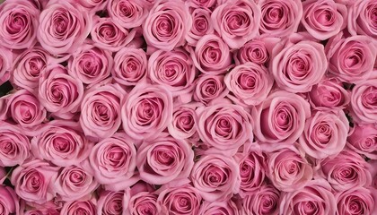 Large bunch of pink roses background 