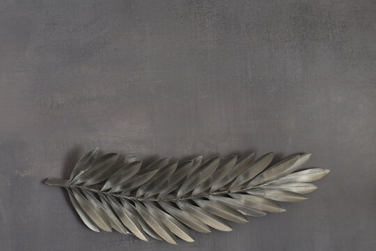 Silver palm leaf on grey backgroun. Ash Wednesday concept.
- Powered by Adobe