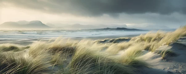 Poster Amazing icelandic grass in beach during windy day. © Filip